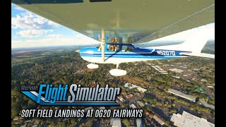 Cessna Skyhawk 172 N5207Q Classic and WB-Sim video