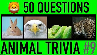 ANIMAL TRIVIA QUIZ #9 - 50 Animals Knowledge Trivi