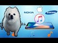 RINGTONES TOQUES DE CELULAR Em CACHORRÊS