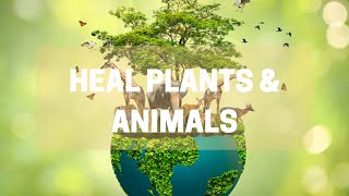 Heal Plants &amp; Animals | Energy Healing Protocol