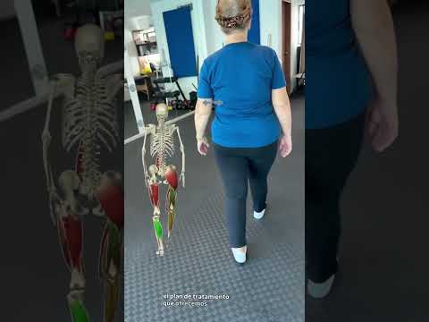 video OxhYhZgBzLE