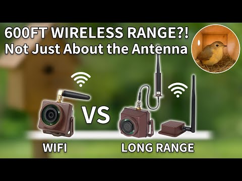 Don't Buy the Wrong Bird Box Camera! Wi Fi vs Long Range