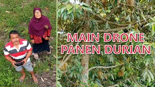 Download lagu MAIN DRONE PANEN DURIAN BERSAMA MAK mp3
