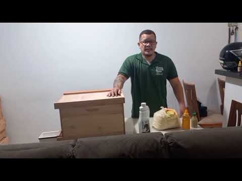 Hamilton Felix de Sousa  APB1 T01 2025-01: Técnica de alimentação de abelhas apis
