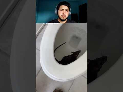 Try not to laugh challenge 557😂 #shorts #funny #trending