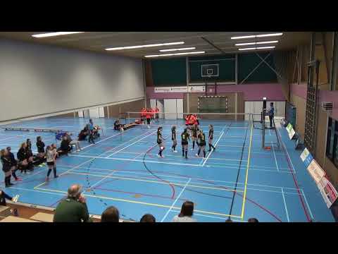 Seesing Flex | Longa'59 DS2 - Boemerang DS1