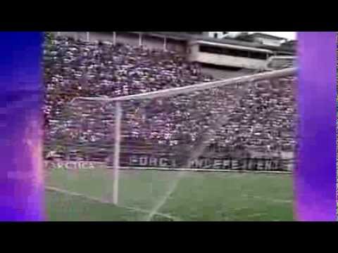 Botafogo 2 x 0 Corinthians - 1994