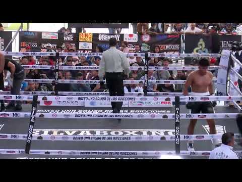 Boxeo en Vivo: Honor y Gloria