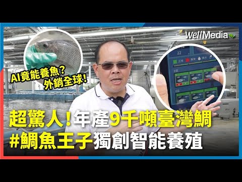 「鯛魚王子」翻轉老漁村困境！獨創全球最大AI台灣鯛養殖，10公頃魚塭只需3人管理！年產量達九千噸，成功將台灣鯛外銷全球【Well Talk】