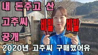 노지고추농사를 위해 고추씨(모종) 구입!