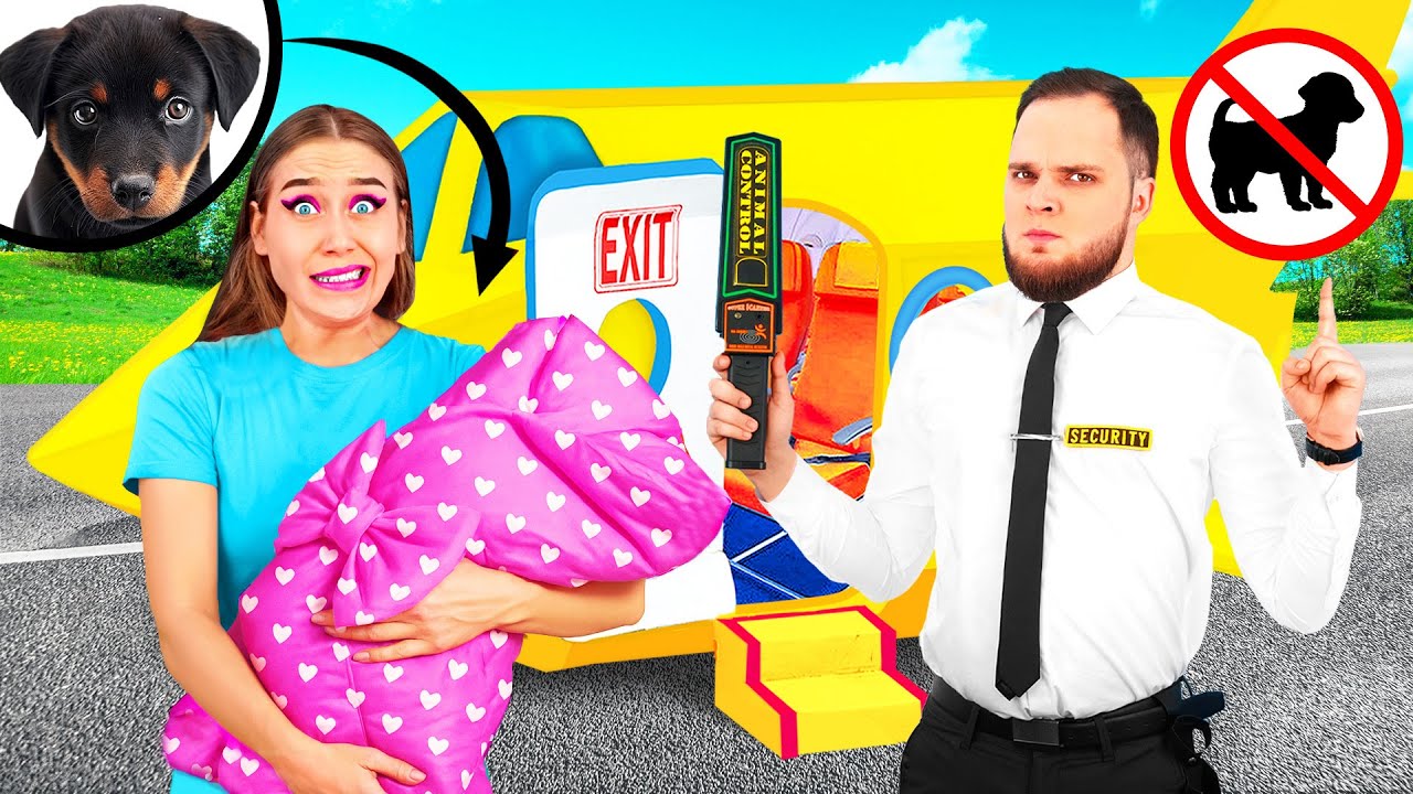 飛行機の中にこっそりペットを乗せる方法 | 面白いペットのいたずら TeenTeam Challenge