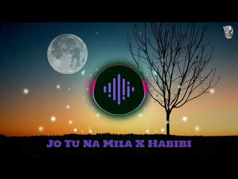 Asim Azhar Ft. Arshman Naeem - Jo Tu Na Mila x Habibi (UnOfficial Mashup Video)