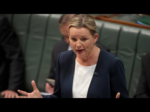 Sussan Ley claims she’s ‘not going anywhere’ despite Coalition split