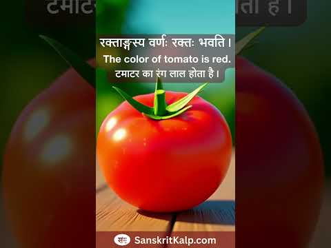 Learn Sanskrit Sentence:  रक्ताङ्गस्य वर्णः रक्तः भवति। |  The color of tomato is red.
