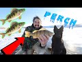 Video Thumbnail for Ice Fishing / Jumbo Perch! / EARLY Ice Fishing / Saskatchewan Outdoors