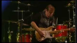 WALTER TROUT And The Radicals LIVE CONCERT Dvix dolby digital 5 1 ac3