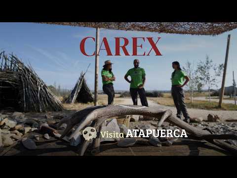 ES Saltar navegación Buscar Crear Imagen del avatar Visita el Centro de Arqueología Experimental (CAREX) en Atapuerca
