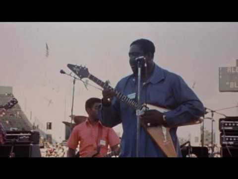 ALBERT KING Live 1972 WATTSTAX (video)/ "I'll Sing the Blues for You"