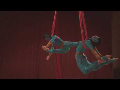 Duo   Aerial loops   aerial hoop # 1676