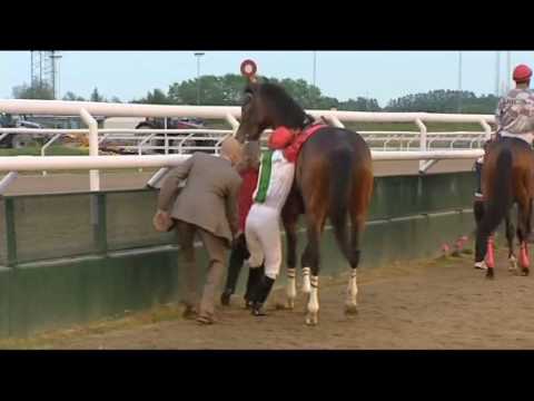 Galoppåret 2009 del 1 av 3