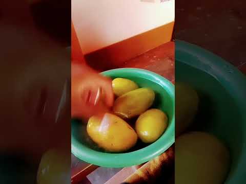 dasheri aam Most frequently used instagram mango hashtags#mango #tasmango #jastipmango #jualmango