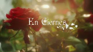 En ciernes | Trailer