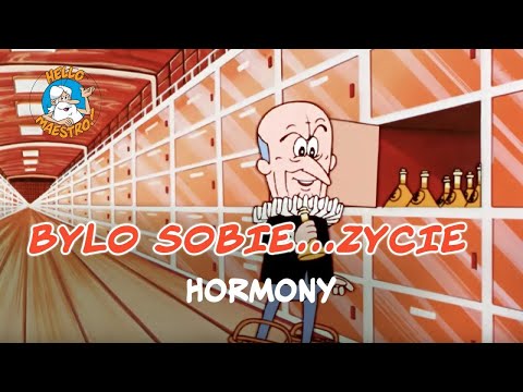 Bylo Sobie... Zycie 🌱 - Hormony 🧪