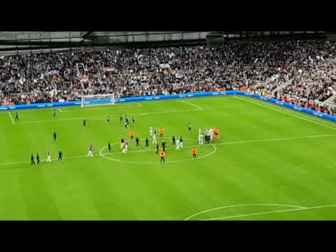 Champions League, scenes from St James' Park.