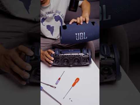 ប៉ូលីន-POLIN and Mr.Chentha