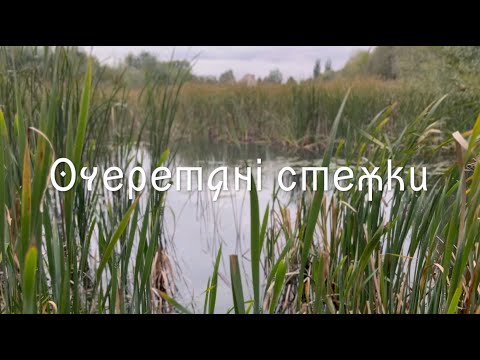Очеретяні стежки 2023 - YouTube