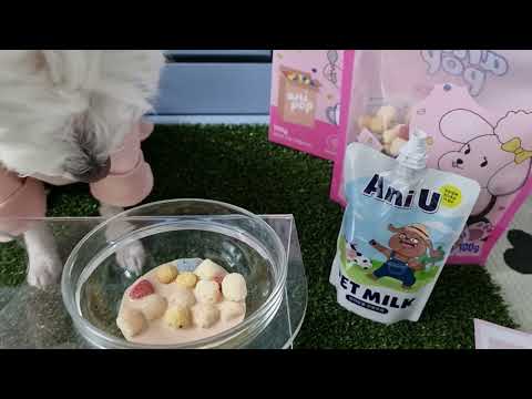 강아지 시리얼 애니팝 100g