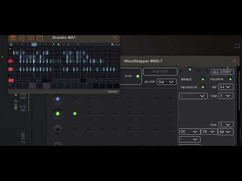 AUM+drambo+woodstepper