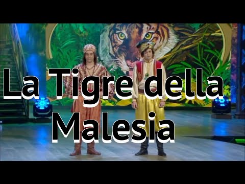 Pino e gli Anticorpi: La Tigre della Malesia