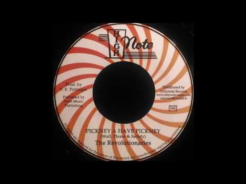 WELL PLEASED & SATISFIED - Pickney A Have Pickney [1977]