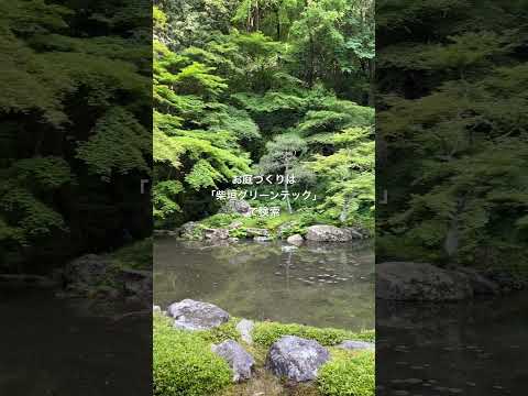 bassin-jardin-faire-soi-même-forme-asymétrique-plantes