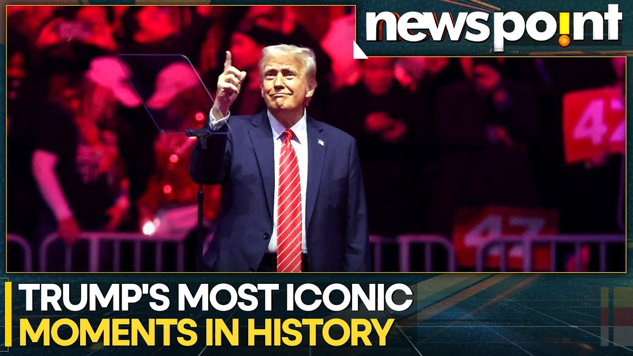 Trump’s Tariff Campaign: Key Moments From His First Year Back in Office | WION Newspoint