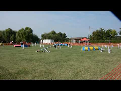 B.Fly Agility Team - SRE VB támogató verseny - válogatás