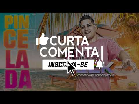 BLK PERNAMBUCANO - PINCELADA