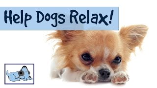 Help Dogs Relax! Music for Puppies or Dogs with Anxiety or Stress: Stop Barking, Crying, Scratching!
