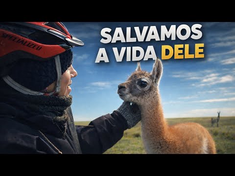 BAITA ROLÊ 811| Encontramos um filhote preso… e o que aconteceu depois foi inacreditável!