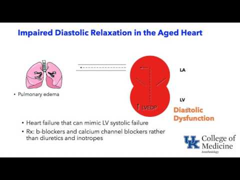 20160802 Aging Pharmacology and Physiology
