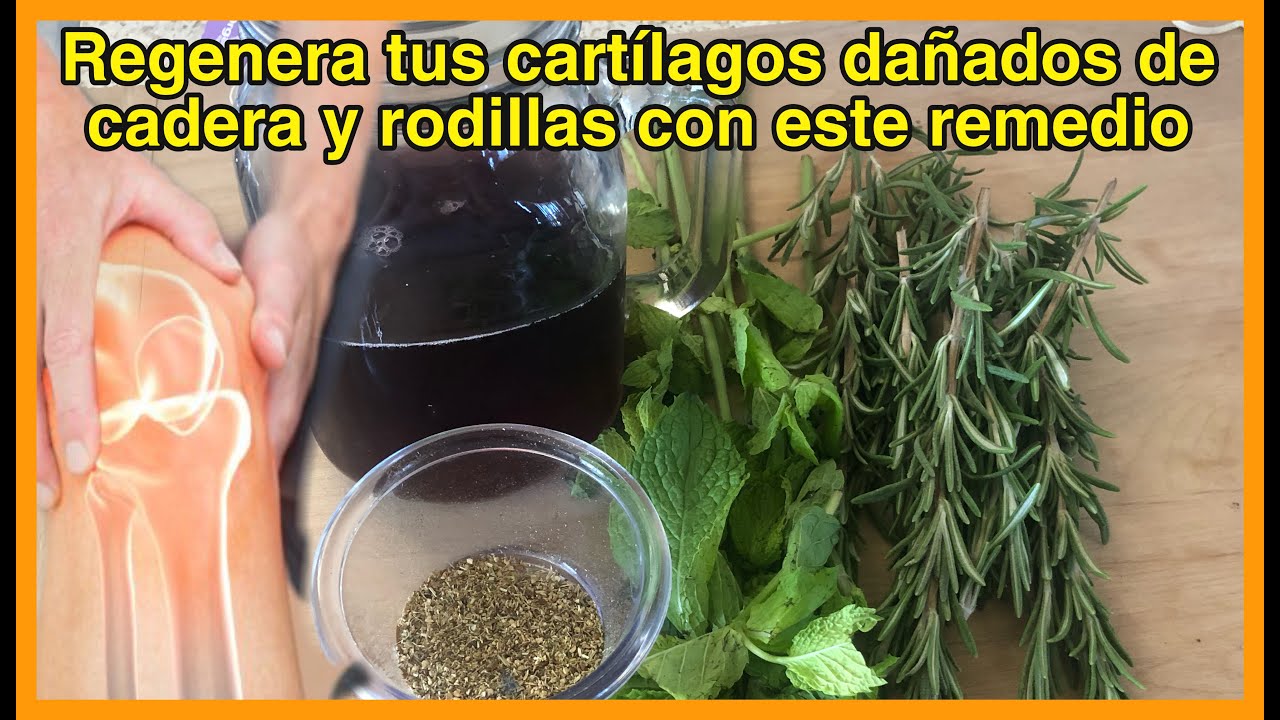 Watch Hierbabuena con romero regenera los cartílagos dañados de cadera y rodillas Now Hierbabuena con romero regenera los cartílagos dañados de cadera y rodillas