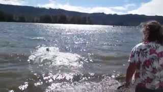 preview picture of video 'Lily playing at Puget Island boat launch, Cathlamet, Washington'