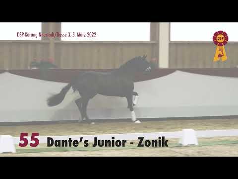 55 Dantes Junior Zonik