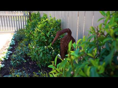 45 Gowing Drive, Meadowbank - Simon Siddells & Thomas Farmer