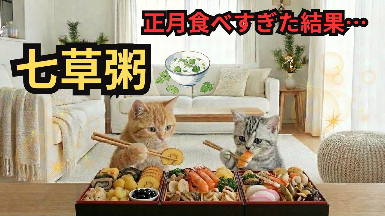 正月食べすぎた結果…七草粥にたどり着く子猫たち🐾　Coco & Nene ate too much on New Year 😂 so we made Nanakusa-gayu