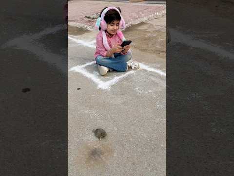 Omer tu race har gya 🐢🐢 tertle se race har gya #viral #shorts #shortvideo #short #viralvideo
