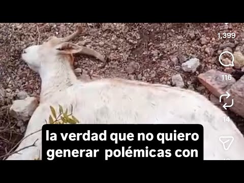 Crisis agricola y ganadera en el Alto Limarí, Monte Patria, temporal, julio 2026 