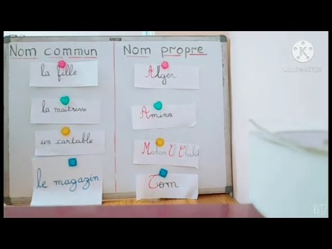 Exercice nom propre/nom commun (suite)