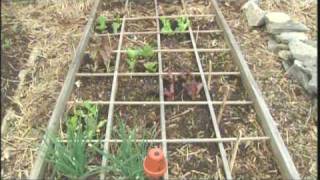 Raised Bed Gardening